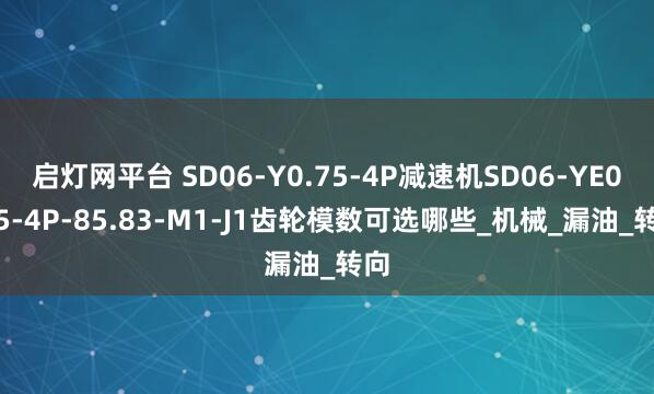 启灯网平台 SD06-Y0.75-4P减速机SD06-YE0.75-4P-85.83-M1-J1齿轮模数可选哪些_机械_漏油_转向
