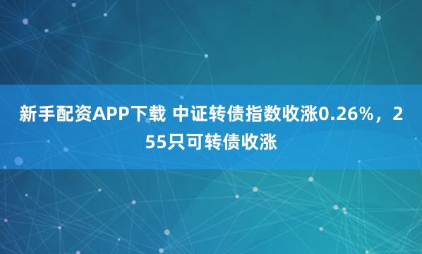 新手配资APP下载 中证转债指数收涨0.26%,255只可转债收涨