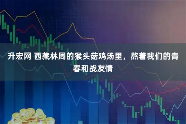 升宏网 西藏林周的猴头菇鸡汤里，熬着我们的青春和战友情